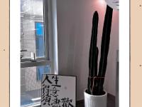 开云体育app-求生欲爆棚奥格斯堡队挣扎在降级区的简单介绍