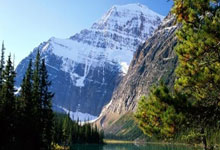 开云体育平台APP-包含斯图加特强势战胜对手，气势如虹的词条