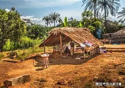 塞拉利昂篮球赛事异常激烈,强队竞逐争先 塞拉利昂篮球赛事异常激烈,强队竞逐争先