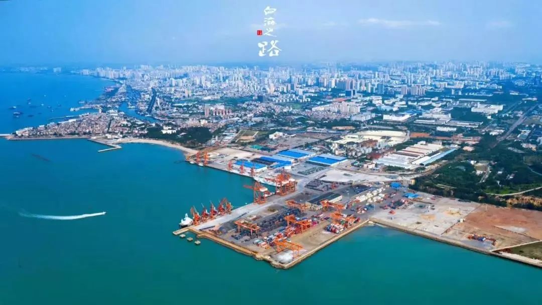 中国代表团迎来一波新的荣誉! 中国代表团迎来一波新的荣誉!